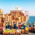 Qué mercancías suelen ir mejor en carga directa